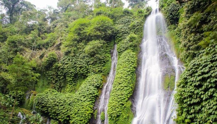 Indonesia memiliki kekayaan alam yang tak terhingga. Salah satu keindahan alam yang patut untuk dikunjungi adalah objek wisata Air Terjun Banyumala yang merupakan air terjun di bali wajib anda kunjungi