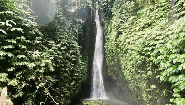 Air terjun Leke Leke tidak hanya menawarkan keindahan alam yang menakjubkan, tetapi juga memberikan kesempatan bagi pengunjung untuk berinteraksi dengan alam sekitar. Beberapa pengunjung yang beruntung dapat melihat burung-burung langka yang tinggal di sekitar air terjun, serta berbagai jenis kupu-kupu yang beterbangan di antara pepohonan.