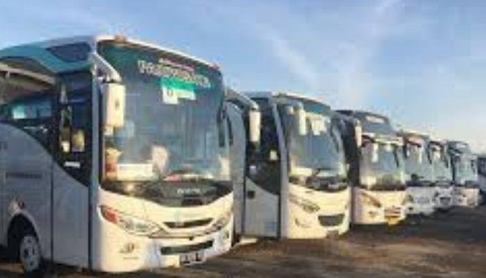 Menyewa bus pariwisata Bali menawarkan berbagai keuntungan yang signifikan bagi para wisatawan. Salah satu manfaat utamanya adalah kenyamanan dalam perjalanan. Dengan menyewa bus pariwisata