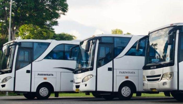 Menggunakan sewa bus pariwisata Bali memberikan sejumlah keuntungan dibandingkan dengan moda transportasi lainnya. Bali, sebagai salah satu destinasi wisata terpopuler di dunia, menawarkan berbagai layanan transportasi untuk memenuhi kebutuhan wisatawan.