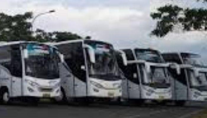 Bali, sebagai salah satu destinasi wisata terpopuler di Indonesia, menawarkan berbagai pilihan bus pariwisata untuk memenuhi kebutuhan transportasi wisatawan. Terdapat beberapa jenis bus pariwisata yang bisa disewa, mulai dari mini bus hingga bus besar, masing-masing dengan kapasitas dan fitur yang berbeda. Memahami jenis-jenis bus ini akan membantu Anda memilih kendaraan yang paling sesuai dengan kebutuhan perjalanan Anda.