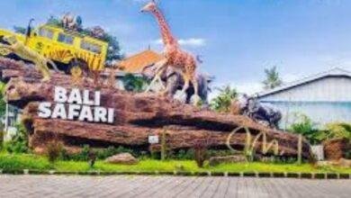 Bali Safari & Marine Park yang terletak di jantung pulau Bali, merupakan taman satwa terbesar di kawasan ini. Taman ini menampung lebih dari 1000 individu satwa yang berasal dari berbagai spesies, termasuk banyak jenis satwa eksotis dan endemik Indonesia.