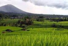 Desa Wisata Jatiluwih merupakan salah satu destinasi yang menonjolkan harmoni antara budaya dan alam di Bali. Terletak di Kecamatan Penebel, Kabupaten Tabanan. Desa ini dikenal dengan pemandangan sawah berundak yang memukau dan menjadi bagian dari Warisan Dunia UNESCO.