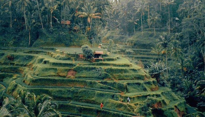 Informasi Umum Tentang Bali, Sejarah Pariwisata  Bali